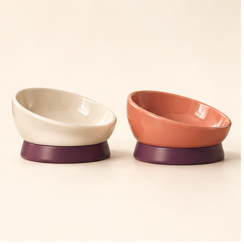 Tilted Cat Bowl Pair — hero